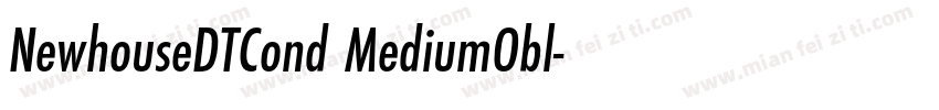 NewhouseDTCond MediumObl字体转换